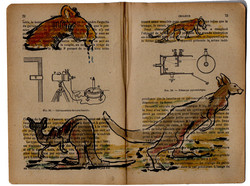 animals