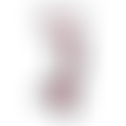 42 Stagione d'Arte, 2014