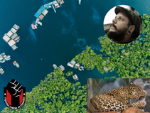 A pauta ambiental diz respeito a todos nós progressistas