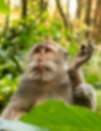 Nature photography.jpg