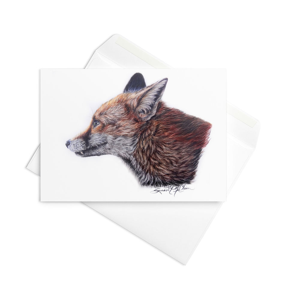Thumbnail: Fox Portrait Note Card