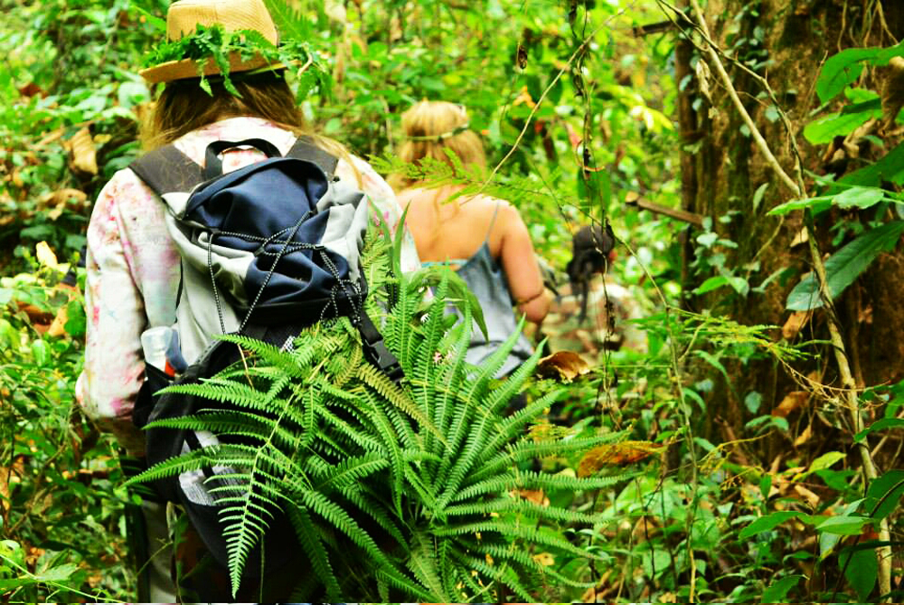 Trekking Tour