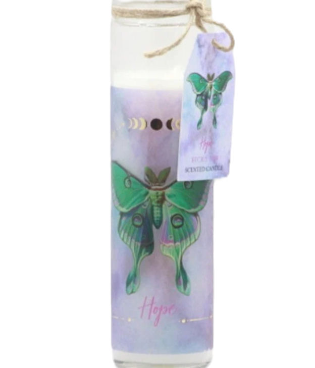 Thumbnail: Luna Moth Candles 590g