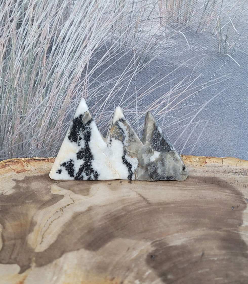 Zebra Jasper Mountain