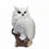 Thumbnail: Realistic Owl Figurines