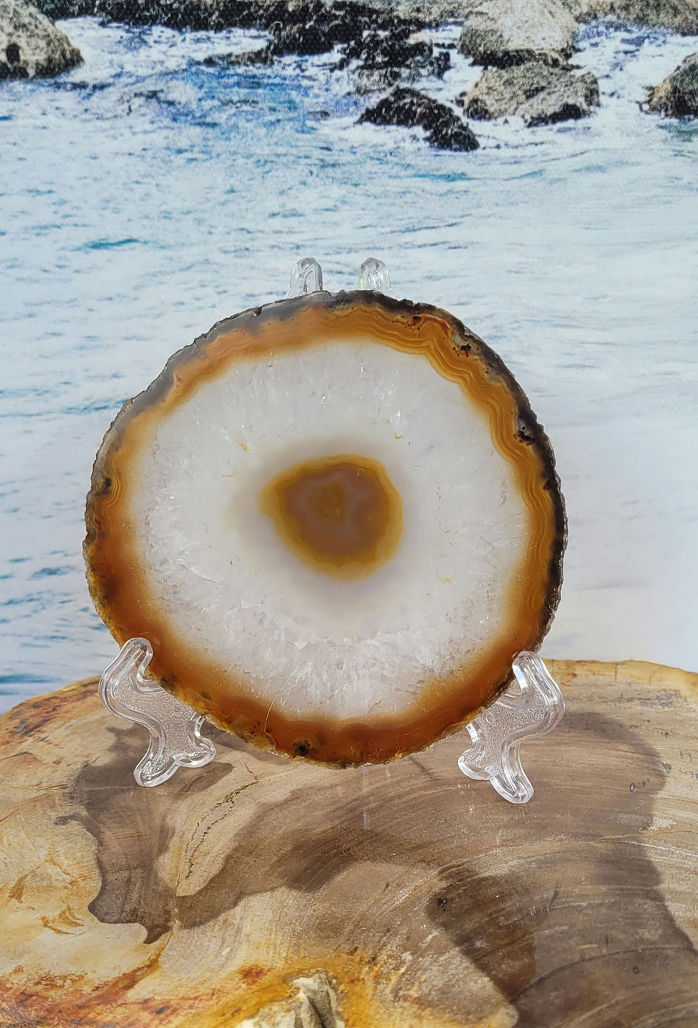 Medium Agate Slice Natural