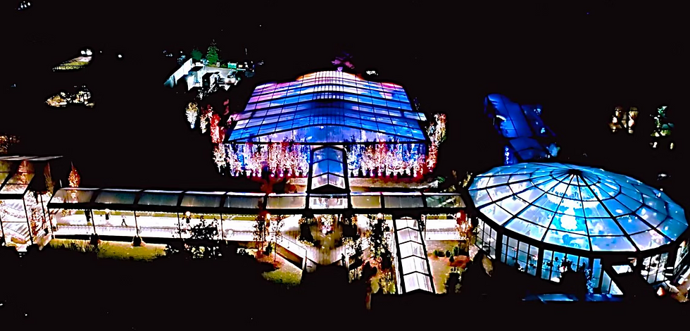 Aerial view of a greenhouse with vivid blue and pink lights at night. Pathways are lit, surrounded by trees adorned with fairy lights.