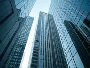 Business security through asset protection