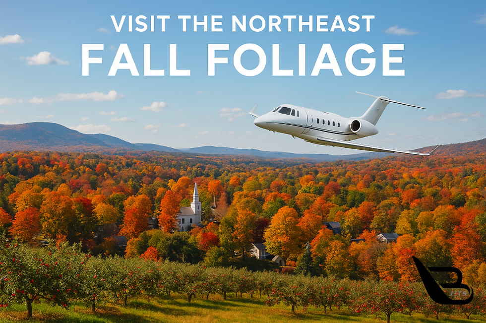 Jet flying over vibrant fall foliage, with a white church amidst colorful trees. Text: "Visit the Northeast Fall Foliage." Clear blue sky.