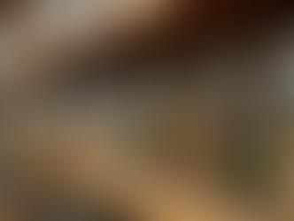 Exploring the Value of Local Herbal Stores