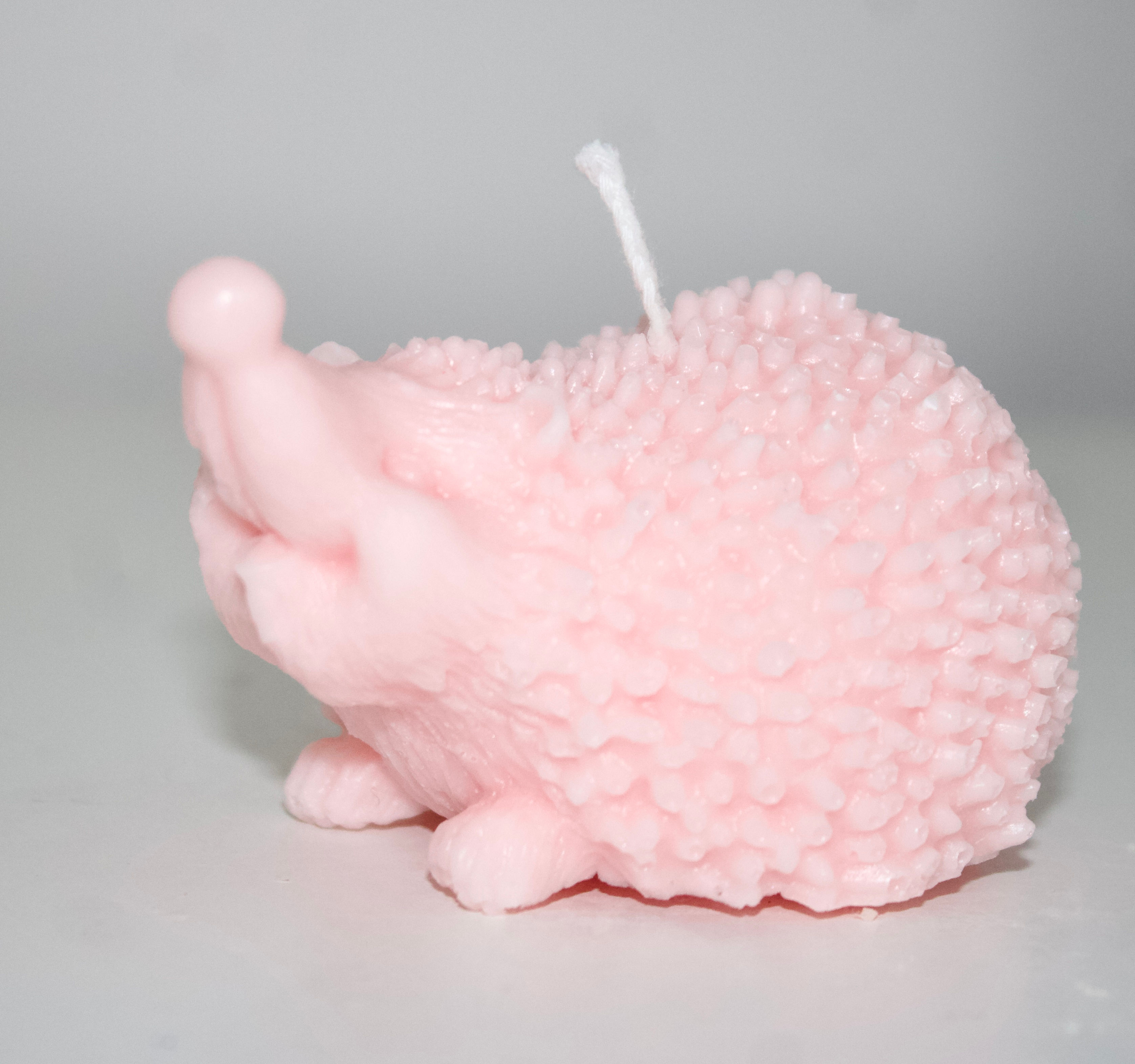 Hand-Made Soy Wax Hedgehog Candle