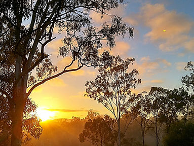 sunrise.jpg