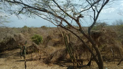 Vista de carretera a Paraguachon