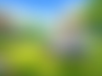 GOAT 800 RTK - Your Exact 3-Lawn Layout – Step-By-Step Plan