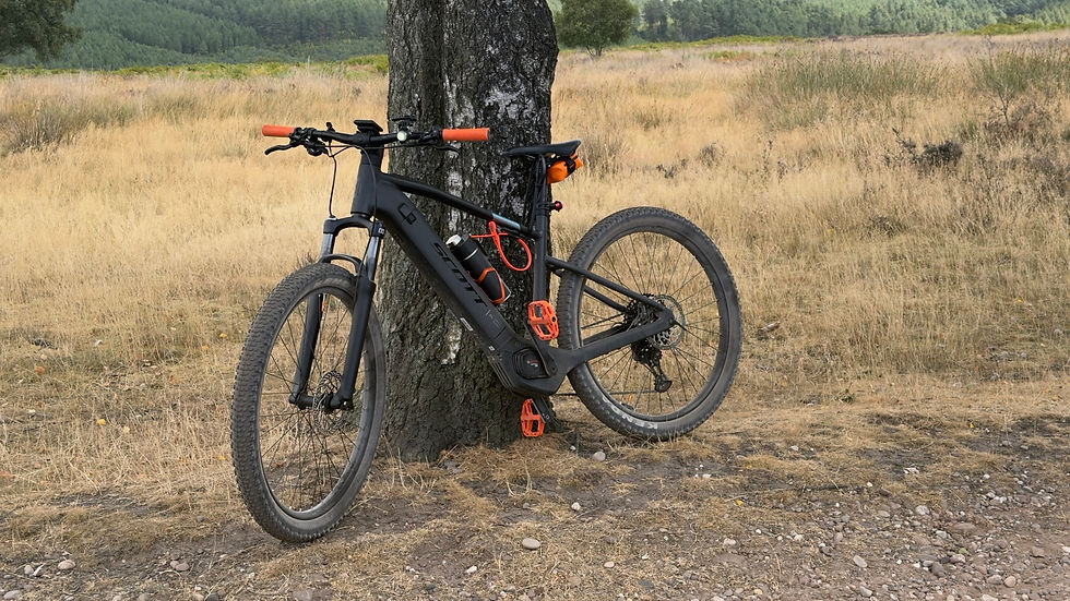 Torque’s Grand Tour: Birches Valley, The Horns and Wildwood