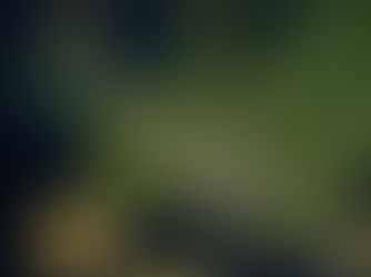 NIX | The Ultimate European Grand Tour 2026 🚐🌍🔥