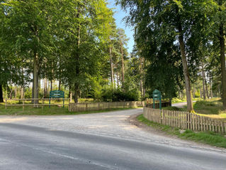 tackeroo-camping-cannock-chase