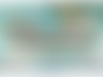 Angel Guide Coaching