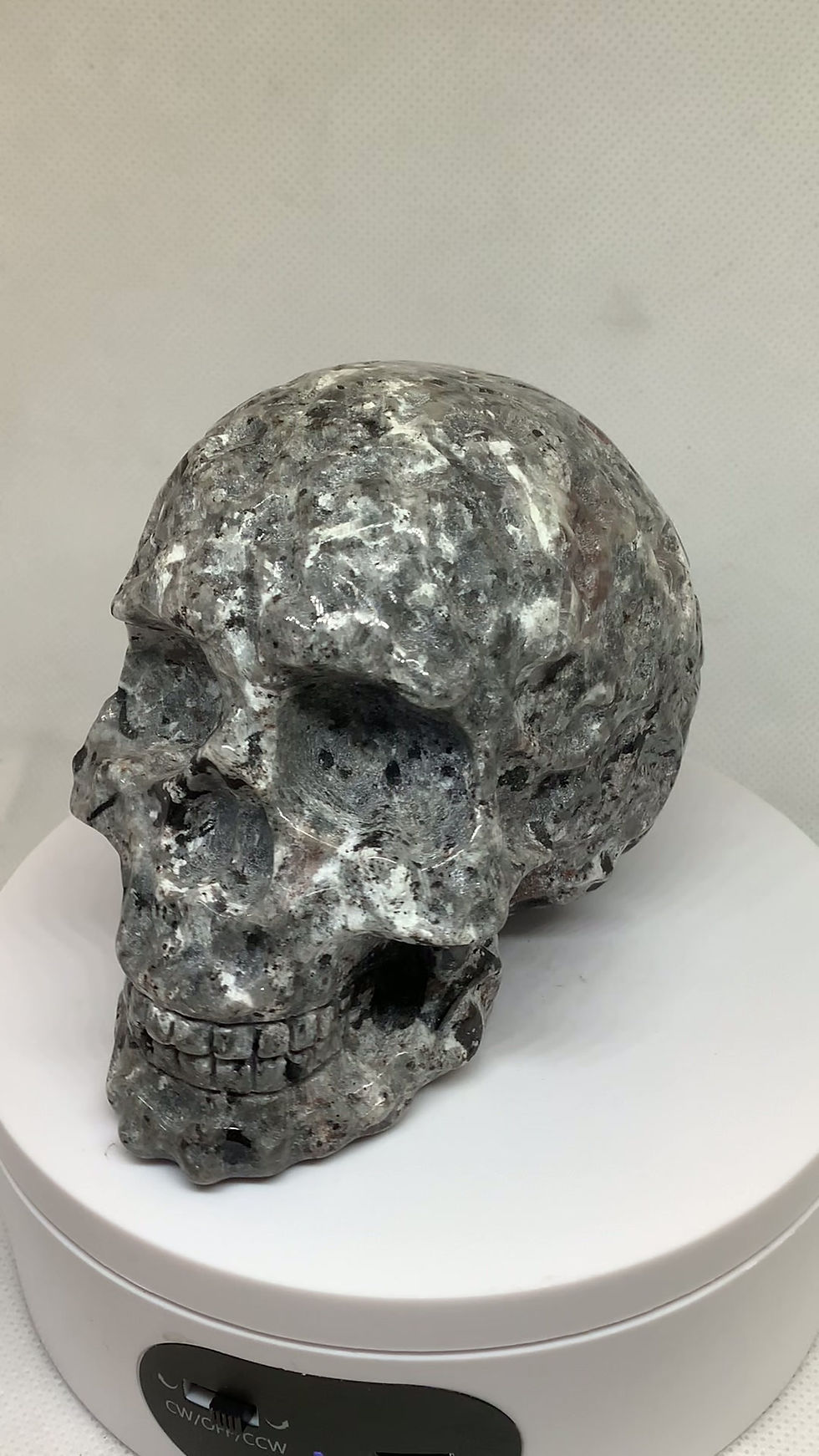 Thumbnail: Larvakite Skull Carving