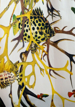 Kollektivvier, Duschvorhag, Baddetails