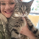 Katzensitting in Würzburg- Tierbetreuung, Katzenbetreuung vor Ort  Deine Katzensitter