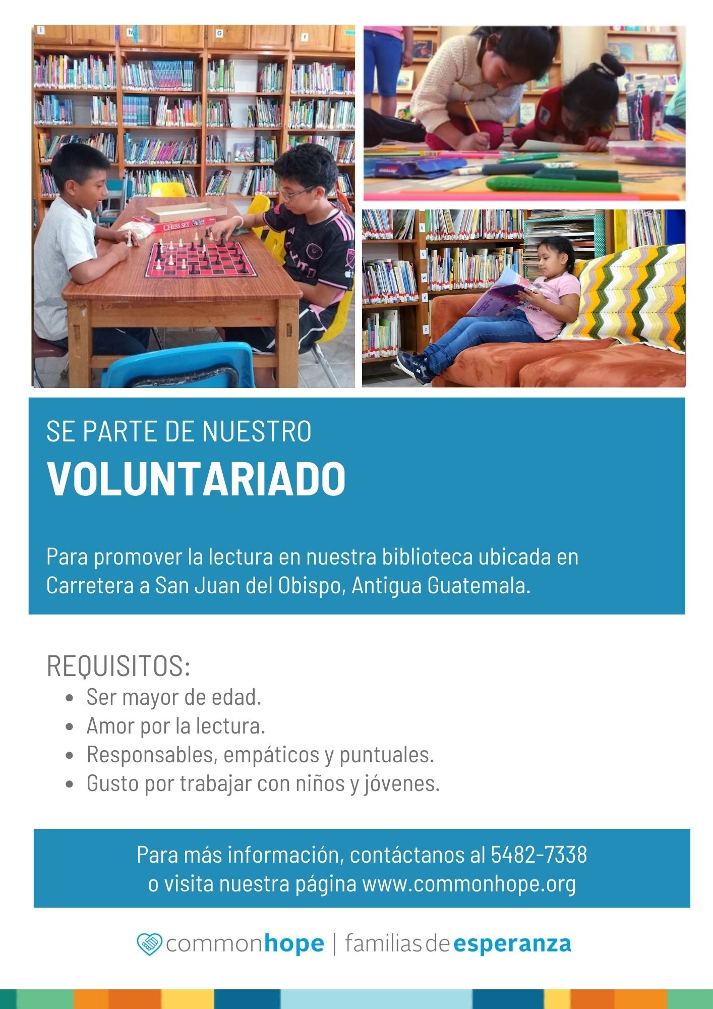 Voluntario Biblioteca.jpg