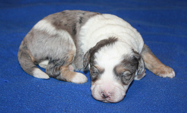 Available boy 2April 20.jpg