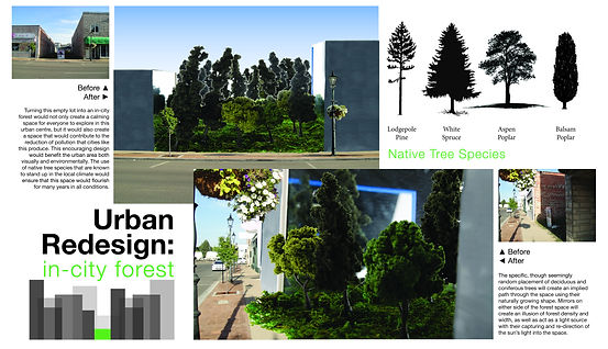 Urban Redesign: in-city forest before and after concept