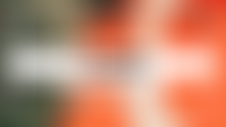 Digital Marketing Plan: LUVMI 