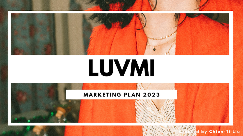 Digital Marketing Plan: LUVMI 