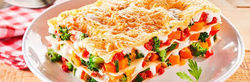 lasagna vegetariana
