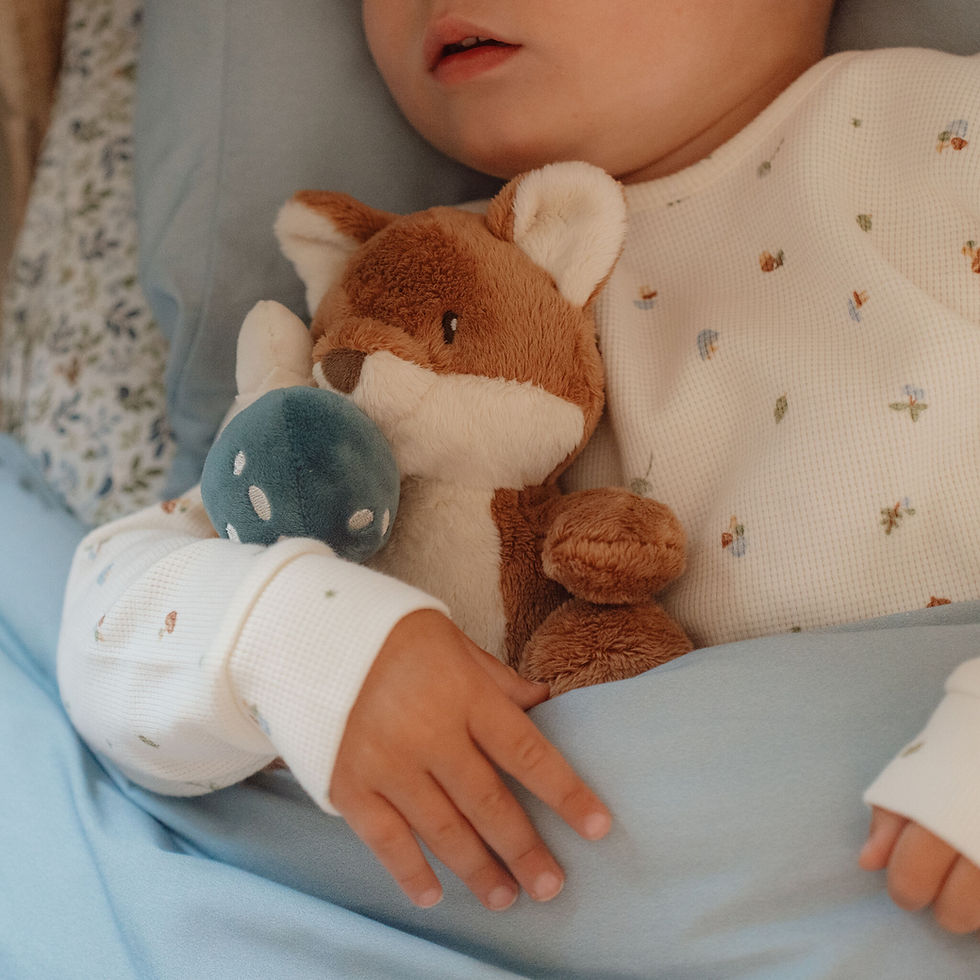 Kuscheltier Plüschtier Babygeschenk Geburtsgeschenk Fuchs