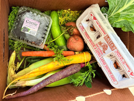 🥕🥬Success Story: Farmer Foodshare Summer Program Feeds 50 Fairview Families! 🥬🥕