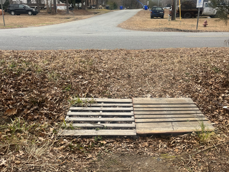 🛠️Fairview Pathway Upgrade Improves Accessibility 👣