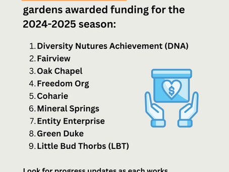 Participatory Grantmaking (PGM) - Year Two!