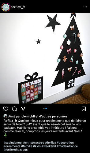 feed instagram ferflex