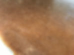 Punkin Spice Slab