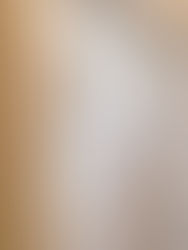 Bourton Hall - Your Perfect Exclusive Wedding Venue in Warwickshire