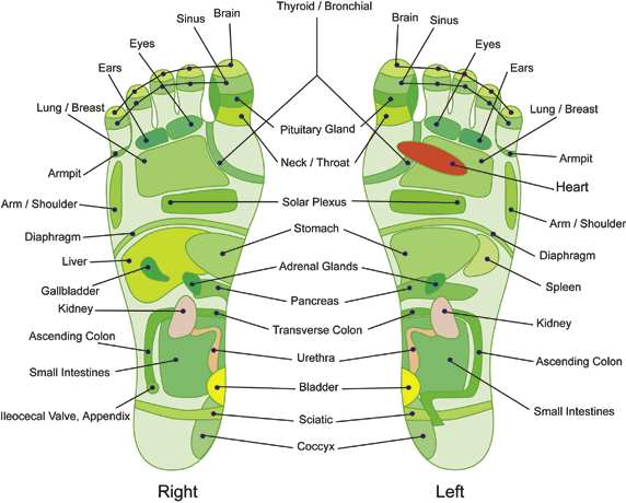 foot-reflexology.gif