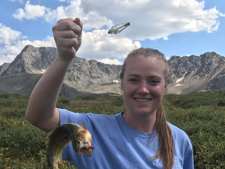 All You Need is a Grasshopper