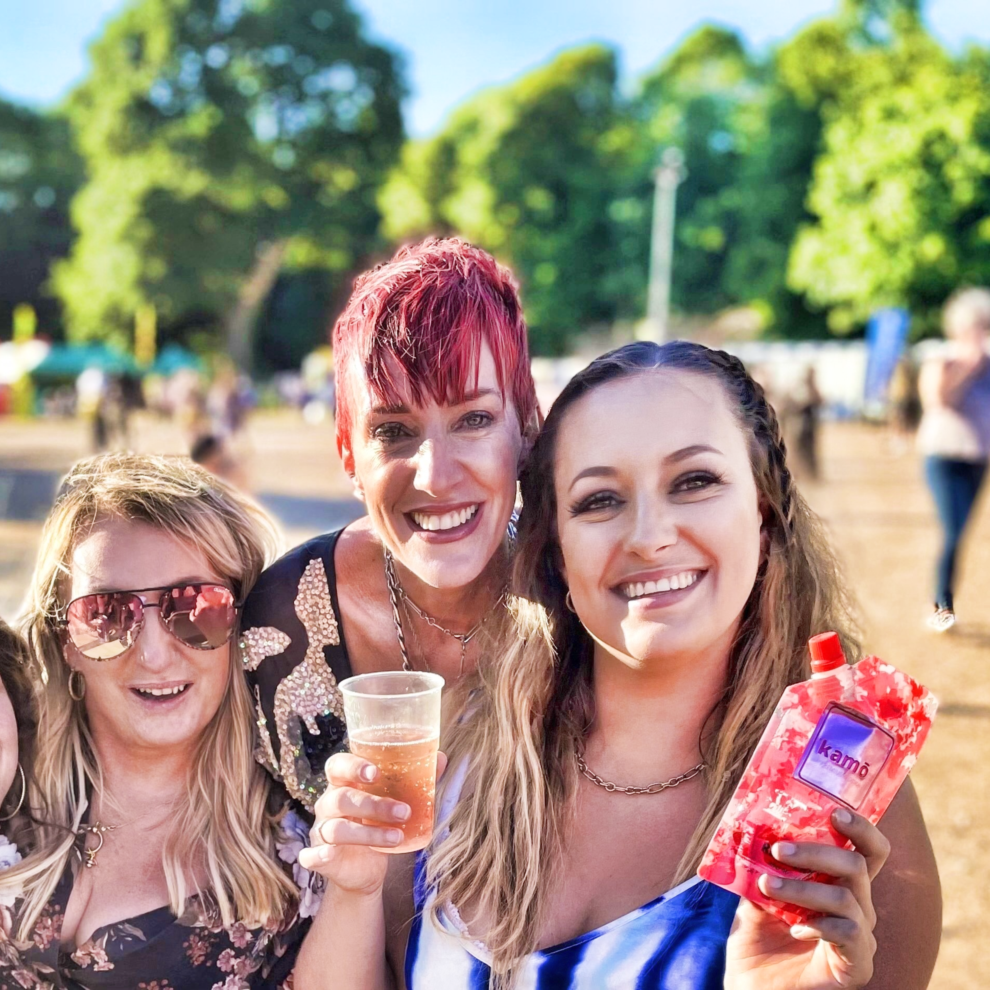 Kamo GO Redberry 25cl