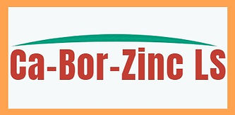 Ca Bor Zinc.jpg