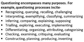 Questioning purposes.jpg