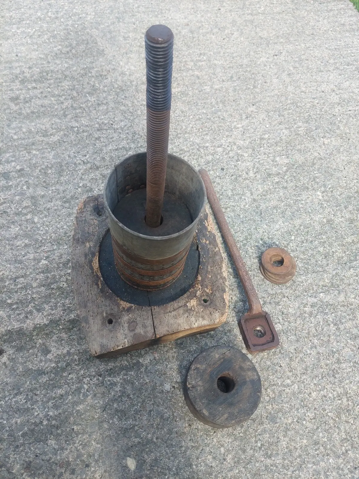 Antique French Large Fruit Press Display Piece