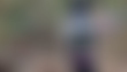 3/29(日)初心者向けジョギング練習会の連絡事項