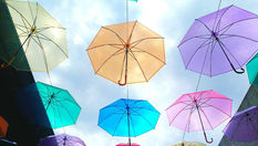 ご協力ありがとうございます！