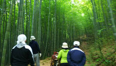 明日からヨガマラソン