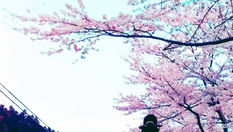 サークルの生徒さんへ『オンラインヨガのお知らせ』