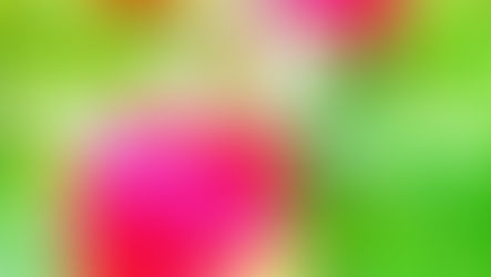 参加に際しての注意事項