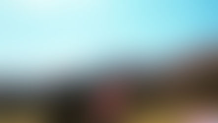 2019年・38th.39th.野外イベント報告